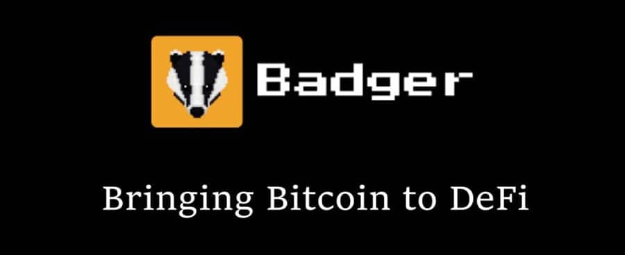 Λογότυπο Badger Dao
