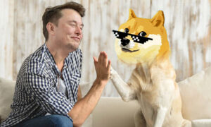 dogecoin-to-drop-by-60-despite-support-from-elon-musk-analyst.jpg