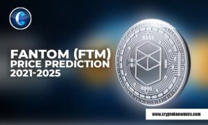 fantom-ftm-price-prediction-2021-2025-ftm-to-soar-to-0-80-by-2021.png