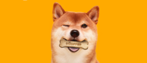 burger-king-in-brazil-let-pay-for-dog-enjoys-with-dogecoin.png