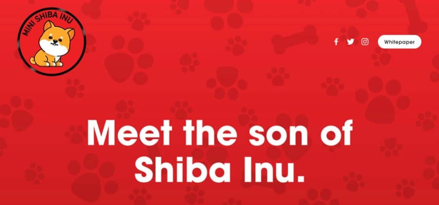 Mini Shiba
