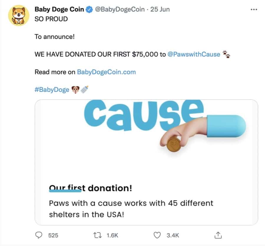 Baby Doge donasjon