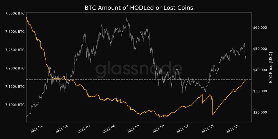 Lost and hodled Bitcoin