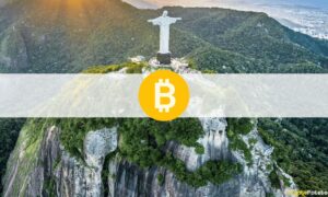 استطلاع-48-من-البرازيليين-support-making-bitcoin-their-official-currency.jpg