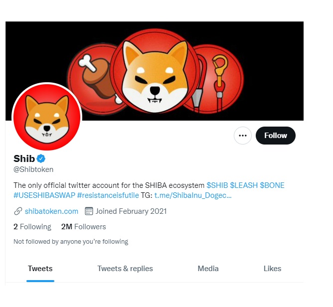 Shiba Inu Twitter Profil Hund Coin