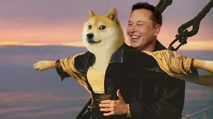 Elon Doge2