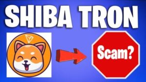 Shiba Tron, The Shiba Inu And Floki Inu ‘Killer’ That Soared 1,000%, Is A Potential Scam PlatoAiStream PlatoAiStream. Data Intelligence. Vertical Search. Ai.