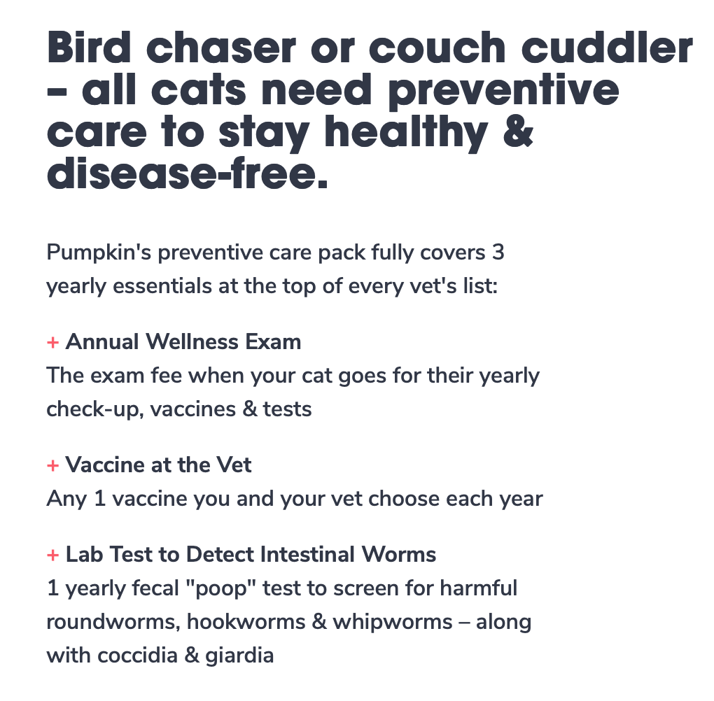 Pumpkin pet insurance - cat options