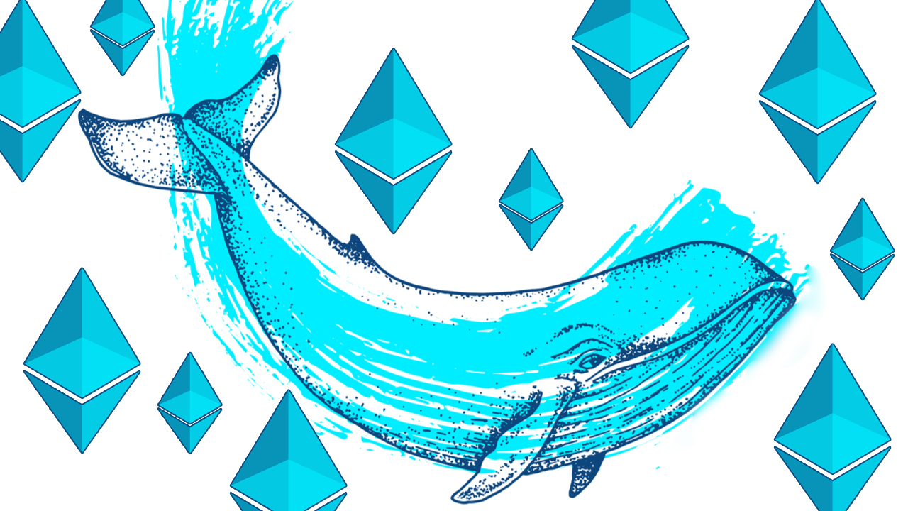 whale-watching:-a-deep-dive-into-the-portfolios-of-the-world’s-largest-ethereum-whales