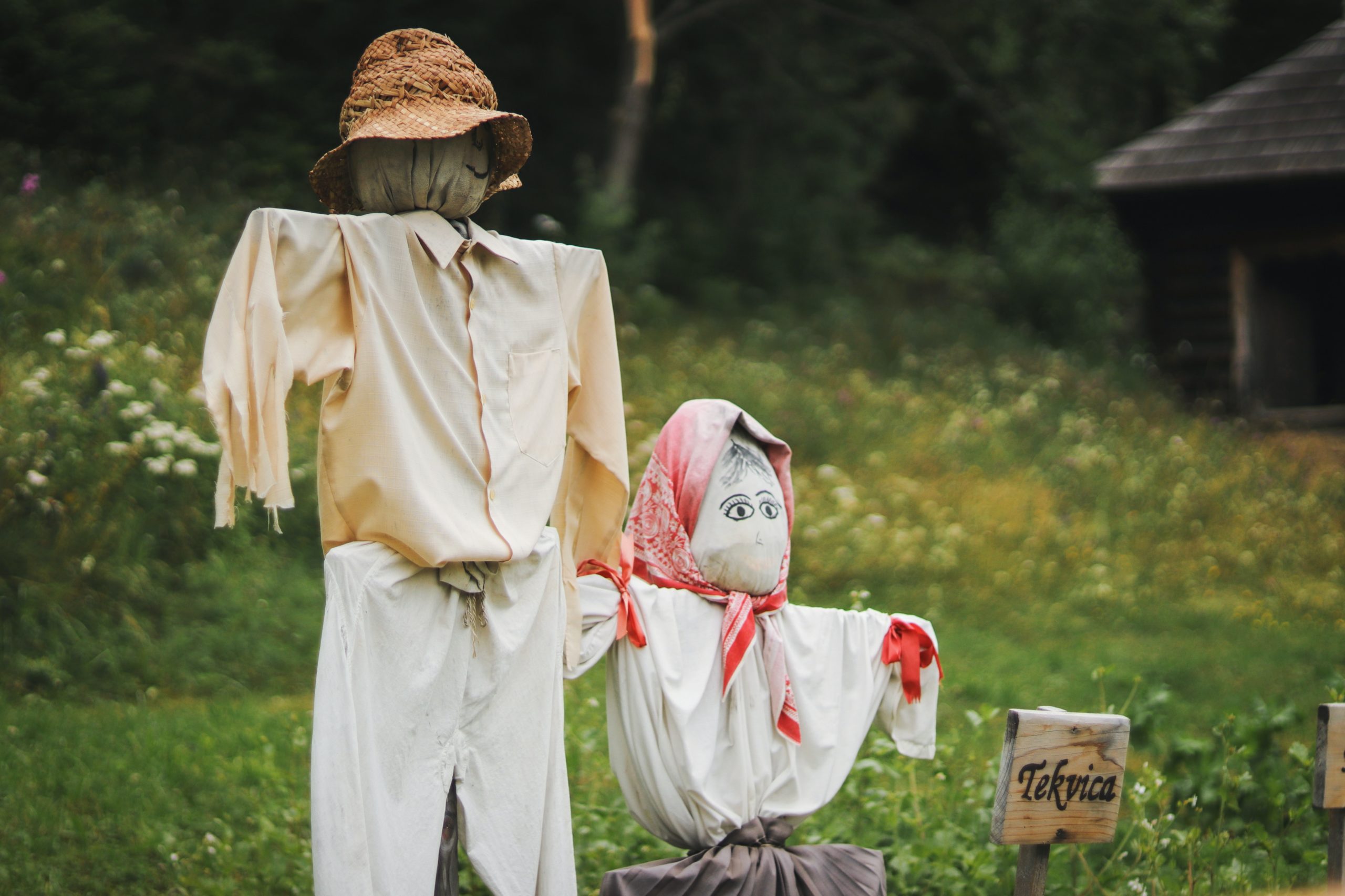 Two scarecrows wearing white shirts and hats. Scarecrow decorating fall fundraising idea