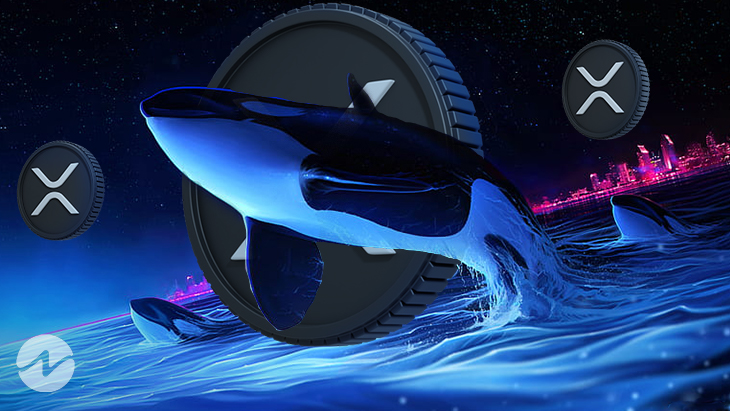 Whale Alert: XRP verdt 73 millioner dollar akkumulert i løpet av de siste 24 timene