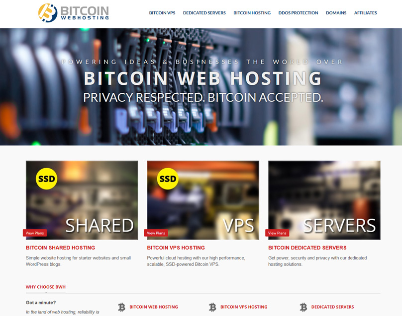 Bitcoin webhosting