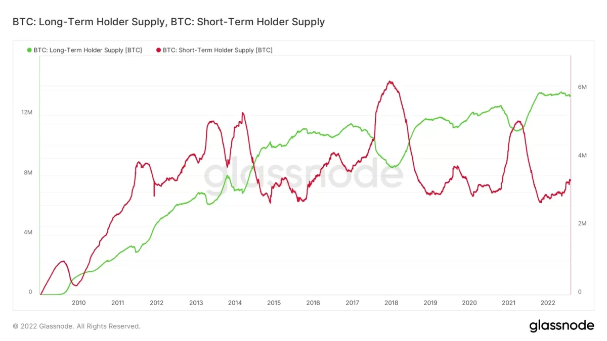 Chart showing long-term and short-term crypto holders.
