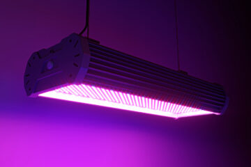 8 LED-fabrikanten om uw nieuwe of bestaande kweek te verlichten