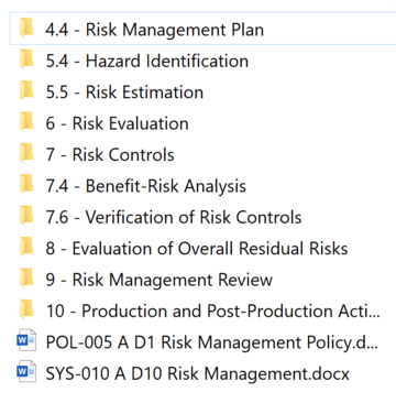 Auditing Risk Management Files