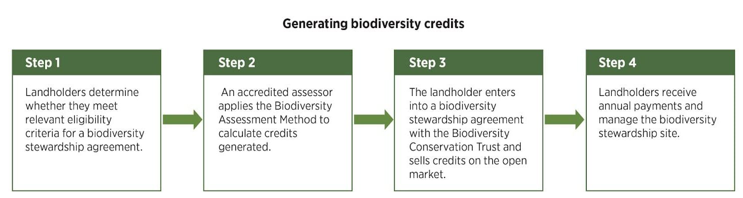 hogyan lehet biodiverzitási krediteket szerezni