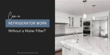 آیا یخچال بدون فیلتر آب می تواند کار کند؟