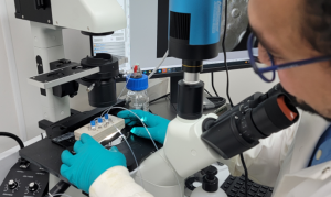 Teknologi deteksi kanker pada chip mikrofluida