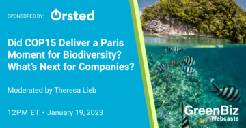 Did COP15 Deliver a Paris Moment for Biodiversity? What’s Next for Companies?