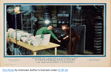 FRANKENSTEIN TRADEMARK AGENTS FILING FROM CHINA!