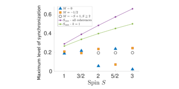 Half-integer vs. integer effects in quantum synchronization of spin systems