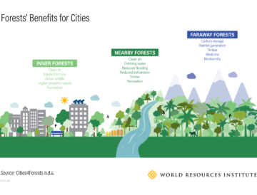 How forests near and far benefit people in cities