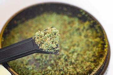 How To Decarb Kief In 6 Easy Steps
