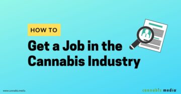 Cum să obțineți un loc de muncă în industria canabisului | Cannabiz Media