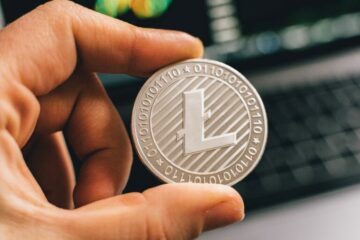 Litecoin ($LTC) and Binance’s $BNB See Whale Transactions Rise, Says Crypto Analytics Platform