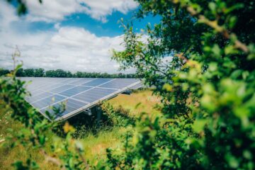 Low Carbon begynner byggingen av fire storskala solfarmer i Nederland