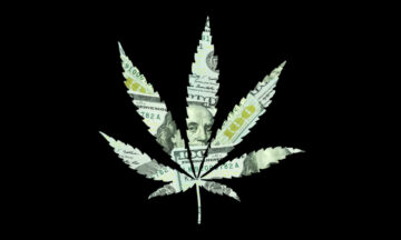 Банковский законопроект о марихуане, не включенный в показатель расходов на конец года, возвращается к чертежной доске для промышленности