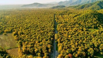 Middle east's journey to 50 billion trees