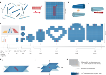 Kreuz und quer verlaufende Multi-Mikrometer-Strukturen, die aus DNA-Origami-Lamellen gewachsen sind