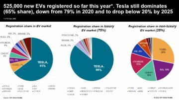 Нові електромобілі поглинають частку Tesla EV