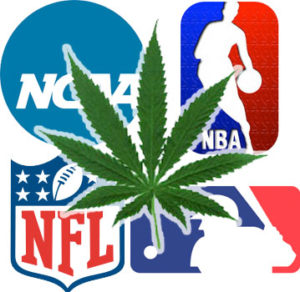 Gehirngesundheit und Cannabis von NFL-Spielern (TBI-Probleme)