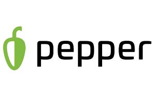 Pepper, Notion 파트너, IoT, 스마트 홈 플랫폼 비즈니스 구축, 보험사 제공