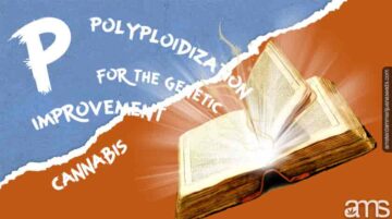 Polyploidy & Pot - Giới thiệu về cuộc cách mạng cỏ dại đa bội tiềm năng