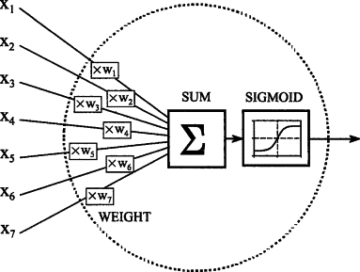 Sigmoïde functie: afgeleid en werkend mechanisme