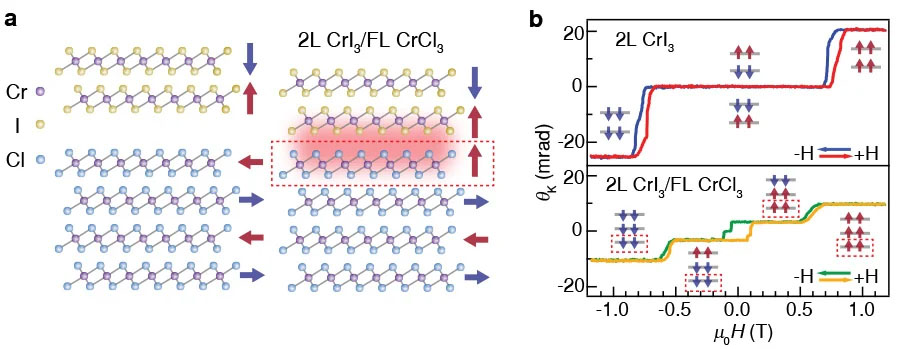 Rajapintojen ferromagnetismin löytö 2D-antiferromagneettisissa heterorakenteissa