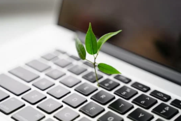 Poslovni primer e-trgovine za trajnost – spreminjanje sajenja dreves v dobiček