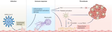 COVID-19-प्रेरित घनास्त्रता पर नैनोमेडिसिन का संभावित प्रभाव