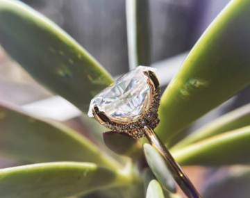 True Gem Collaborates with Carbon Credit Capital to Make Its Jewelry Products Carbon Neutral