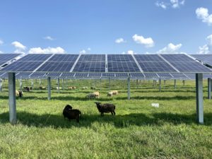 दो नई सौर परियोजनाओं की स्थापना पूर्ण