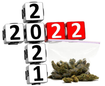 Wat zijn de top 5 cannabisnieuwsverhalen van 2022? - U stemt, u wint!