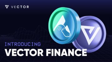 Kaj je Vector Finance?