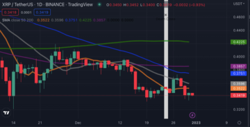 Will XRP Price Soar or Decline in the Unforeseeable Future?