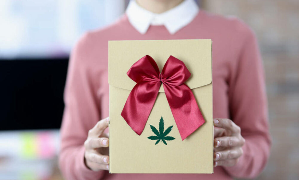 Du fick Weed i julklapp — här är vad du bör veta