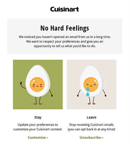 bedste eksempler på e-mailmarketingkampagner: cuisinart