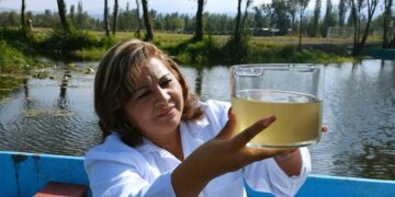 6 Benefícios do Tratamento de Águas Residuais