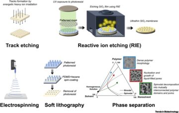 Advances in cell coculture membranes recapitulating in vivo microenvironments